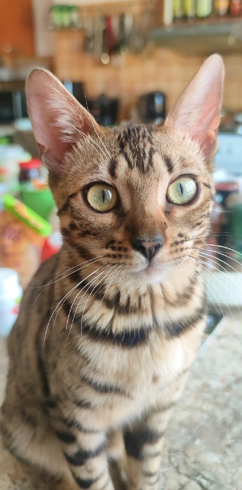 GIF uploaded by Tomáš