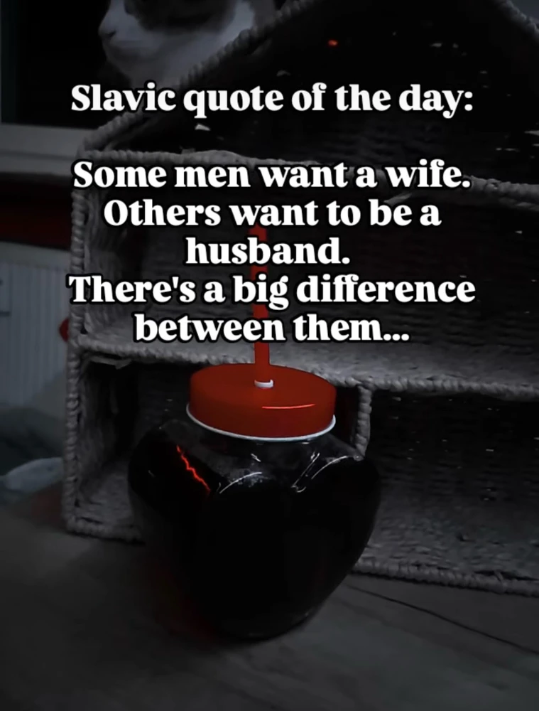 GIF uploaded by Jasminka