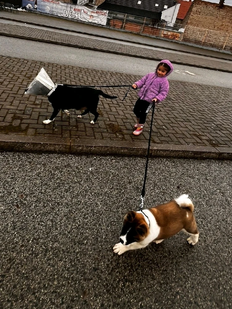 GIF učitao/la Ljudevit