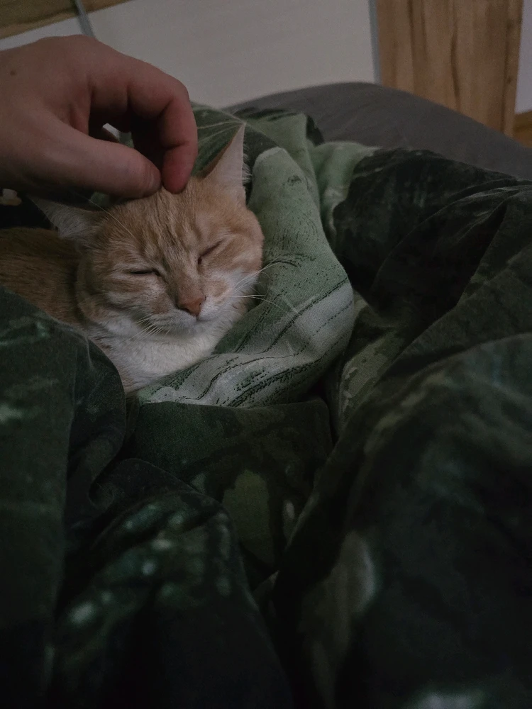 GIF ajouté par Jérémy