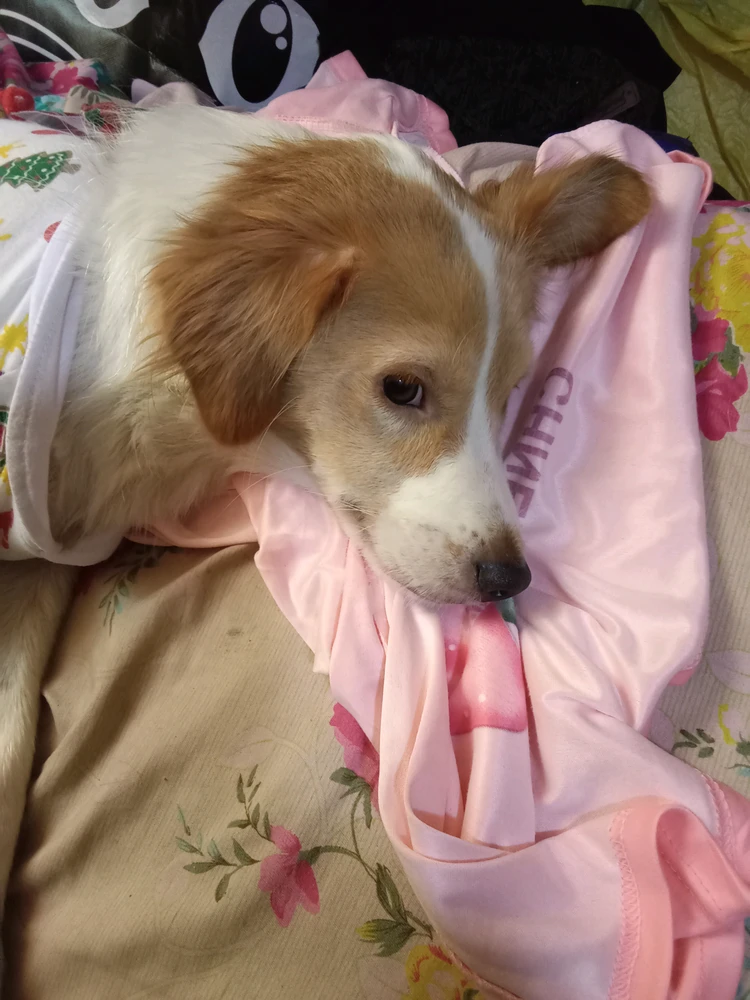 GIF subido por Mewssette