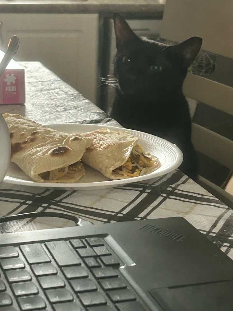 GIF uploaded by Josh