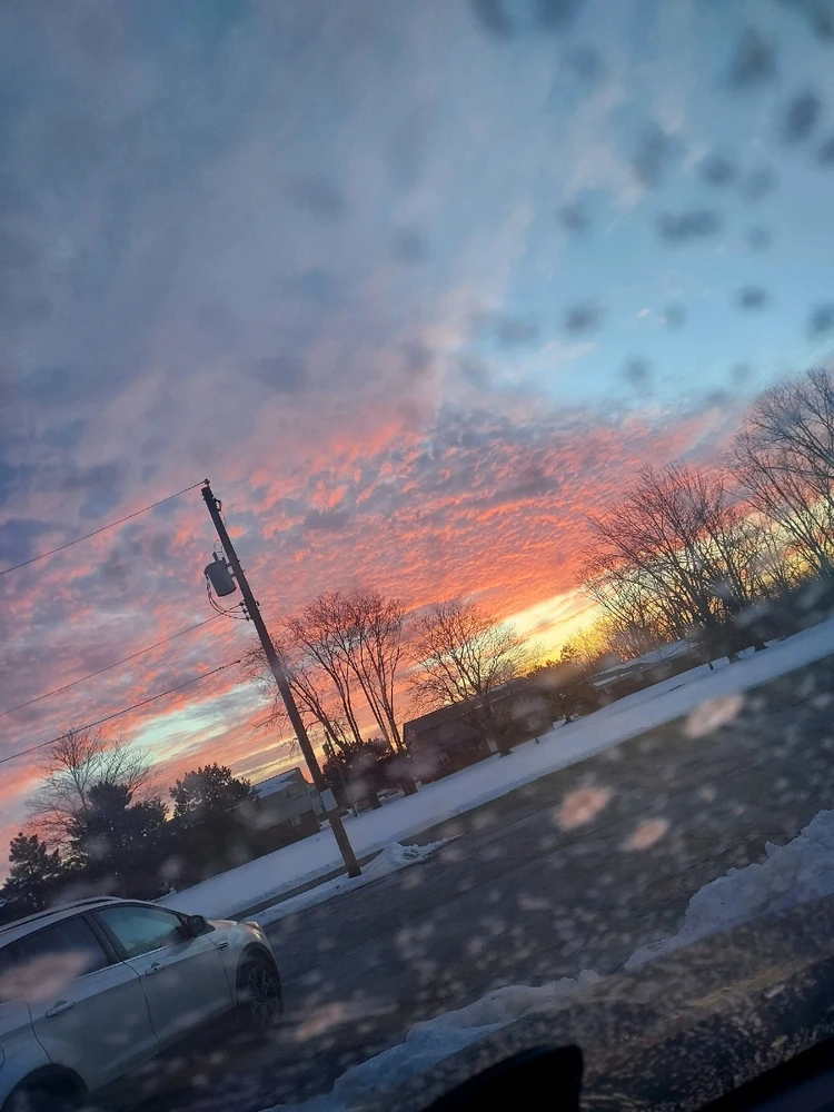 Image uploaded by Melissa