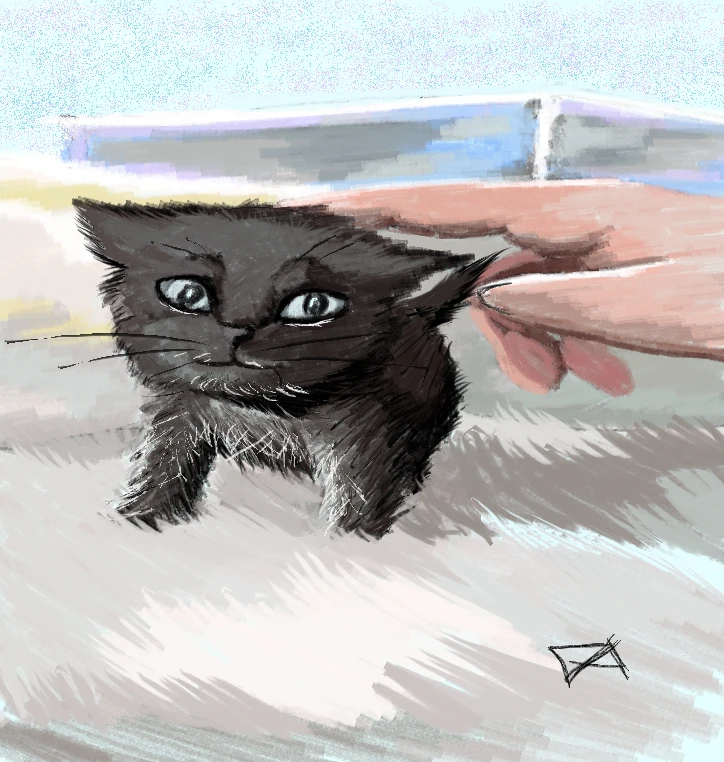 Фото загрузил Aleksandra