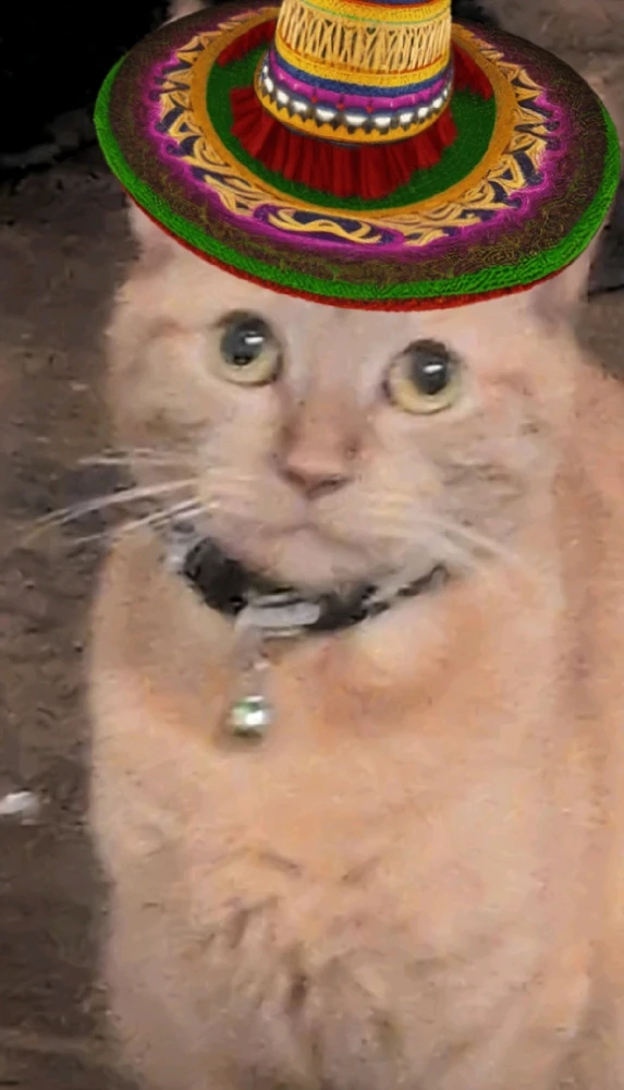 GIF uploaded by Dante