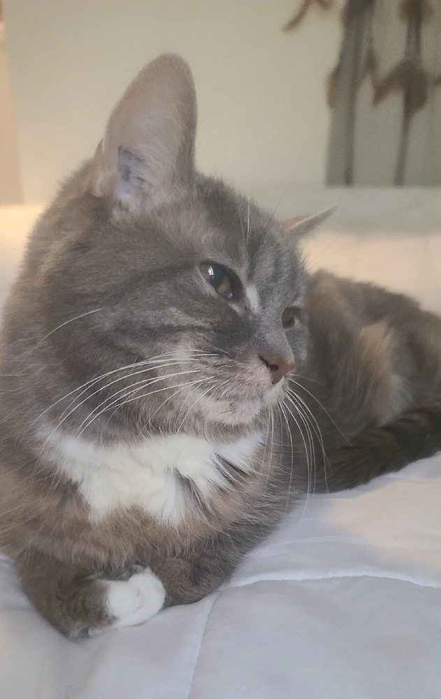 GIF uploaded by Jeannie