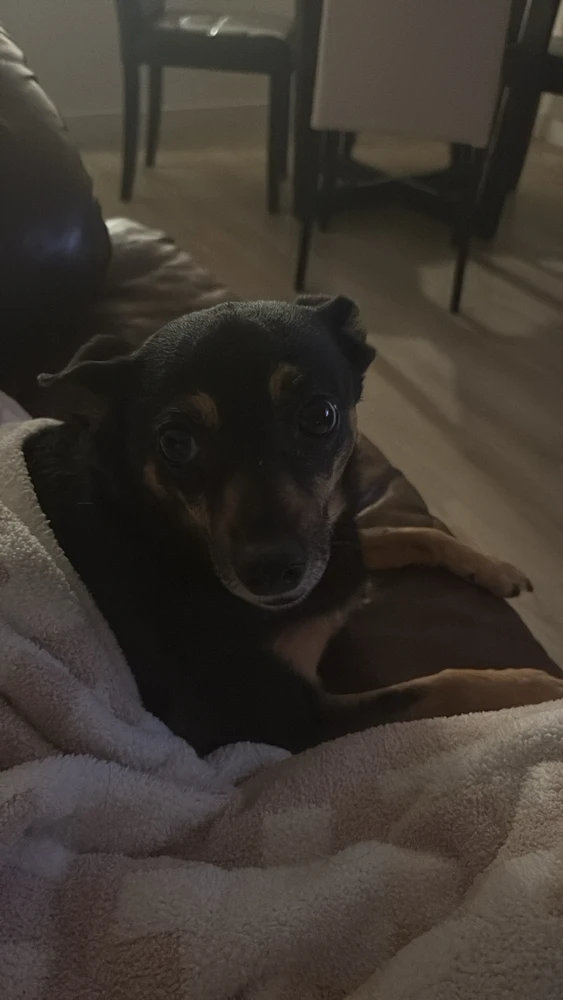 GIF uploaded by Chris