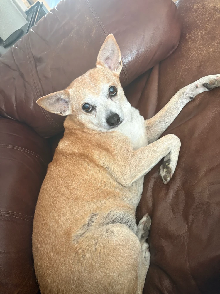 GIF uploaded by Chris