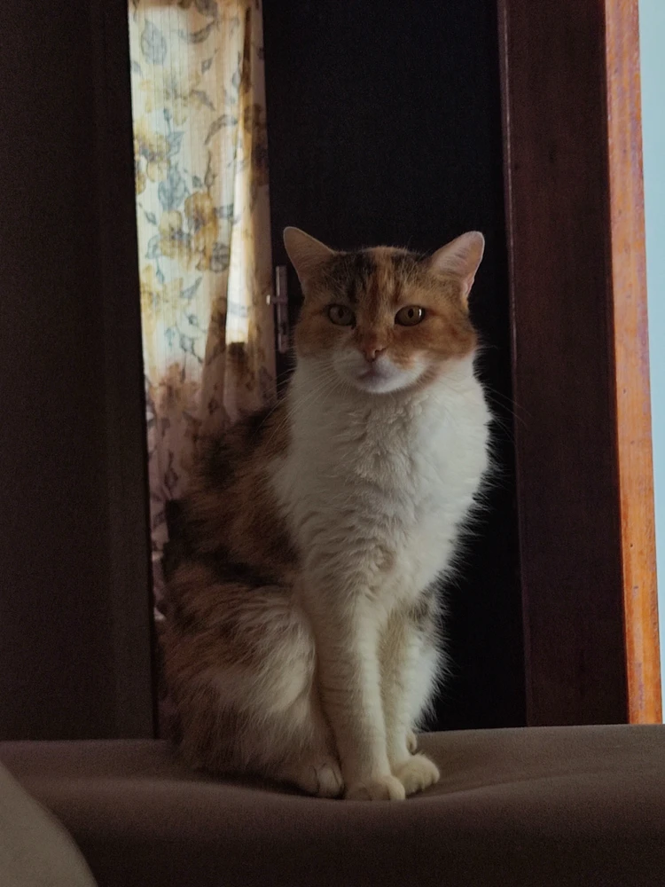 GIF enviado por Gabriela