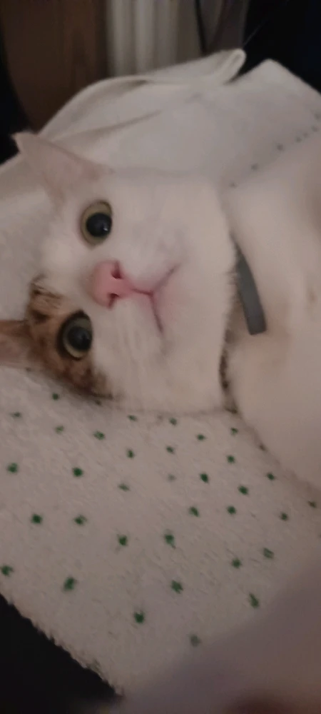 GIF uploaded by Jiri