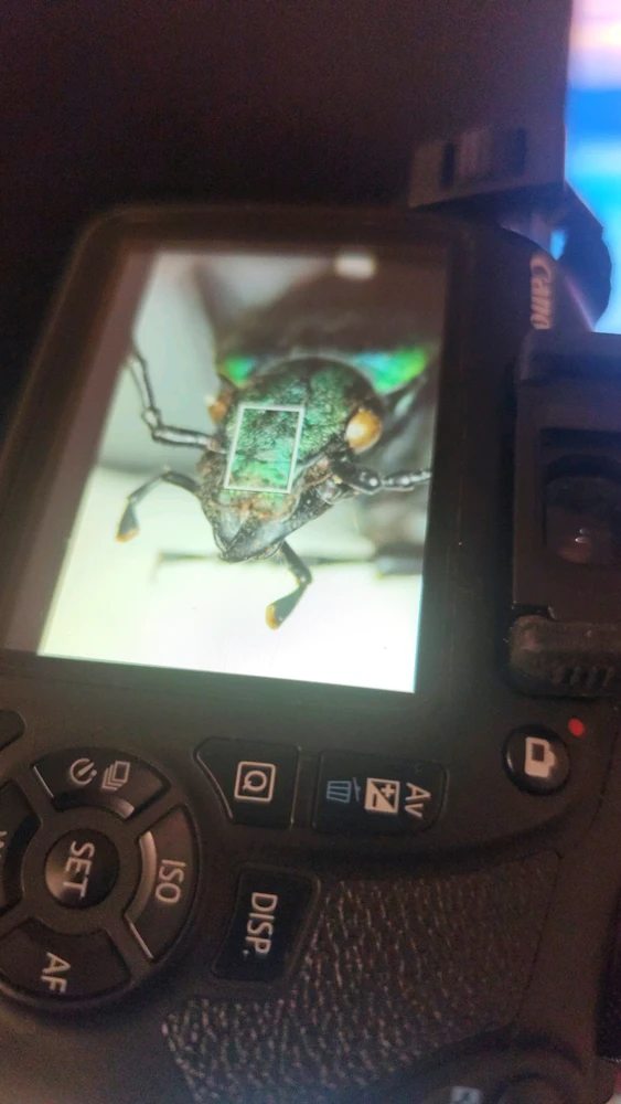 GIF subido por José