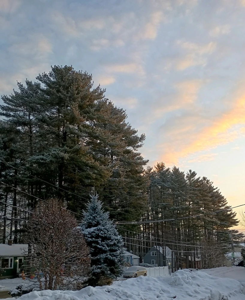 GIF uploaded by Josh