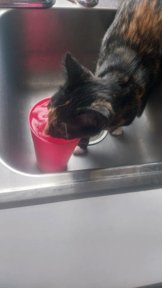 GIF uploaded by Mike