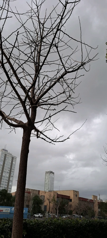 GIF uploaded by Cenk