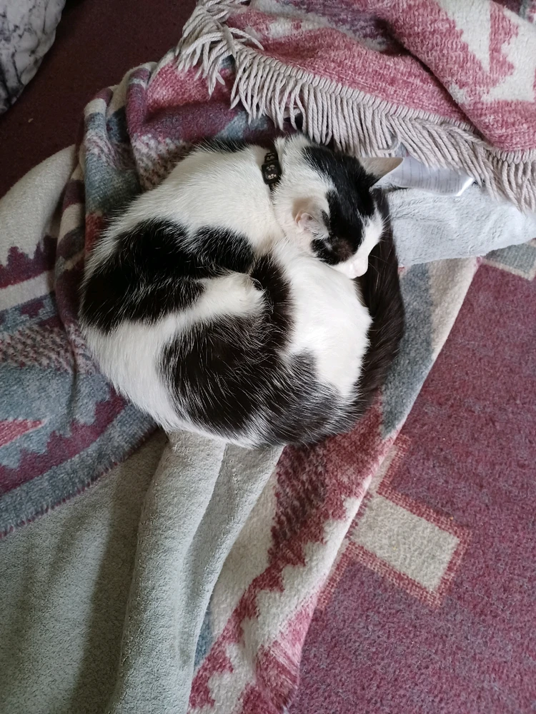 Image uploaded by Jiri