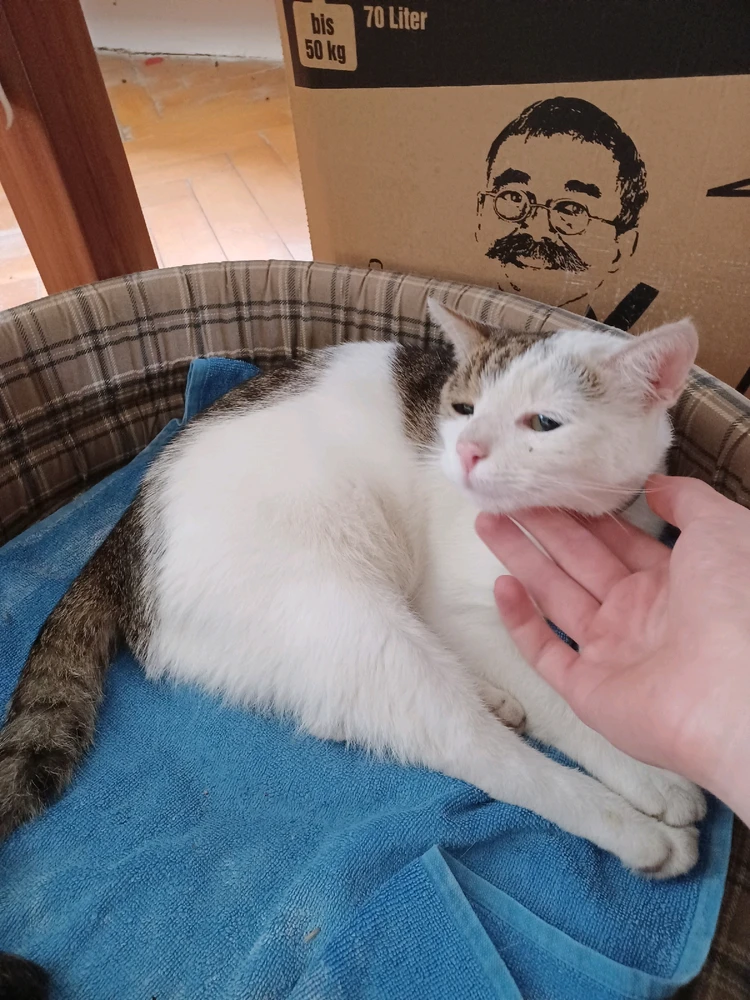 Image uploaded by Jiri