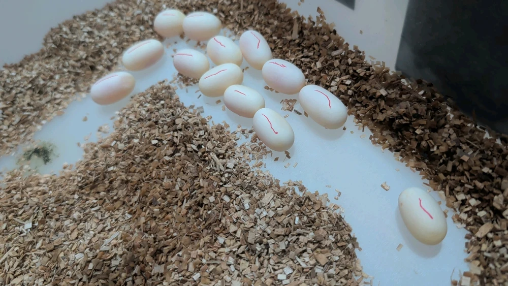 GIF uploaded by Jordin