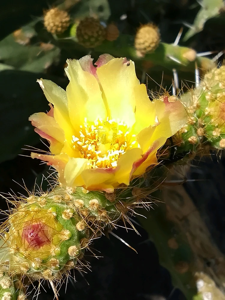 Image uploaded by Juan M