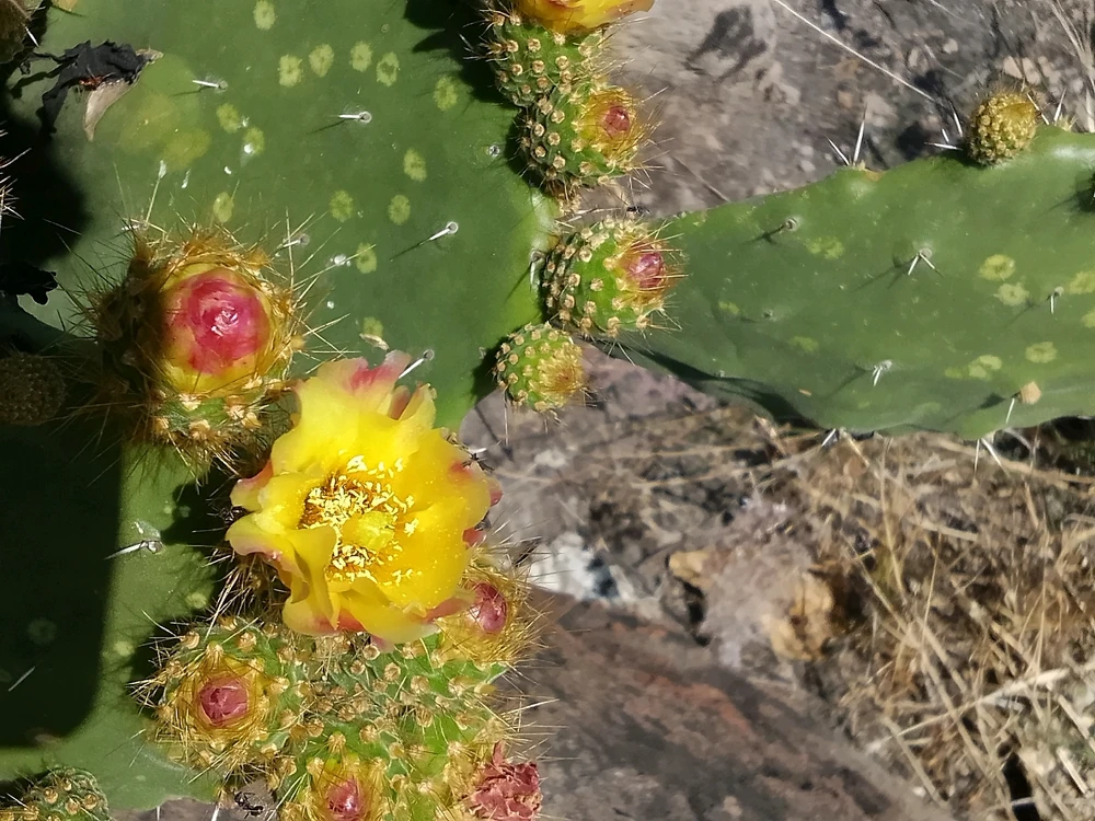 Image uploaded by Juan M