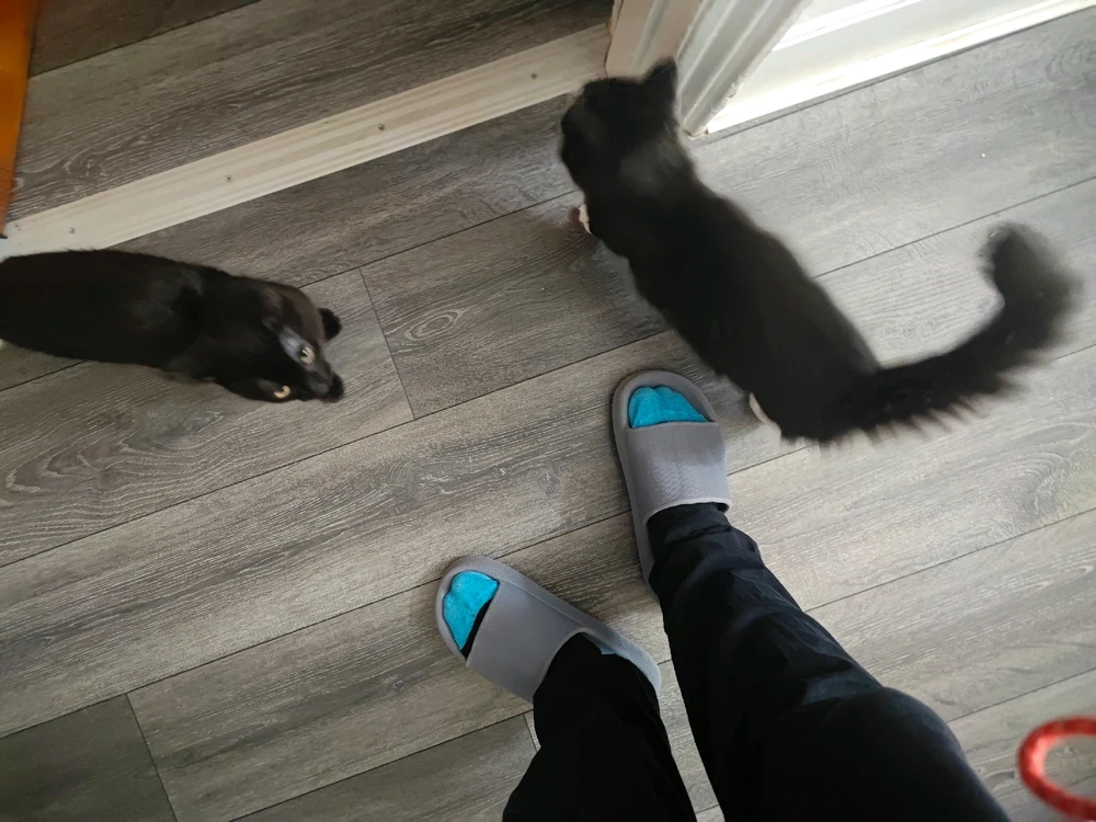 Image uploaded by Nicolae