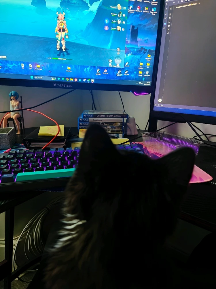 Image uploaded by Nicolae