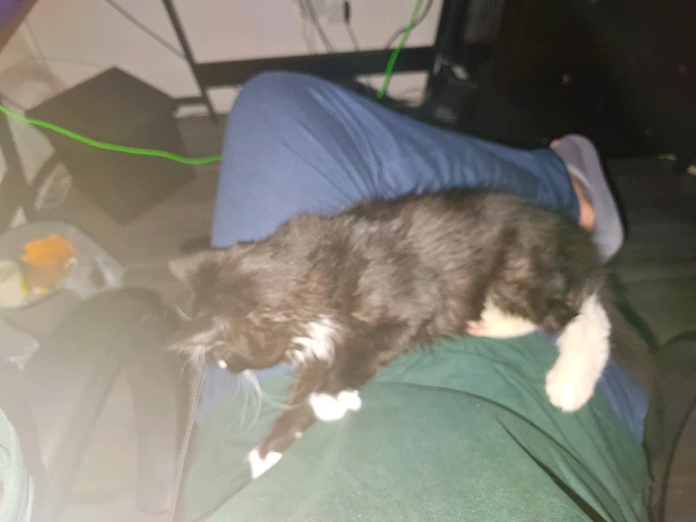 Image uploaded by Nicolae