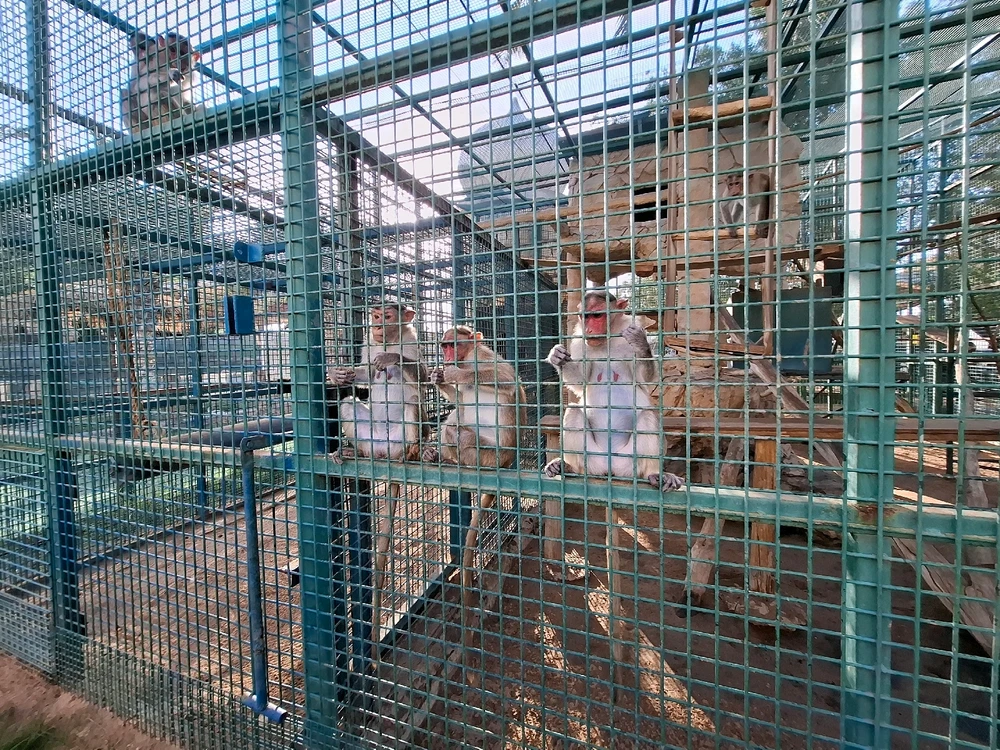 Image uploaded by Nylej