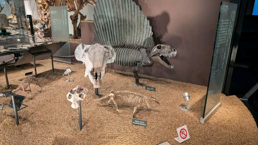 Image uploaded by Ethan