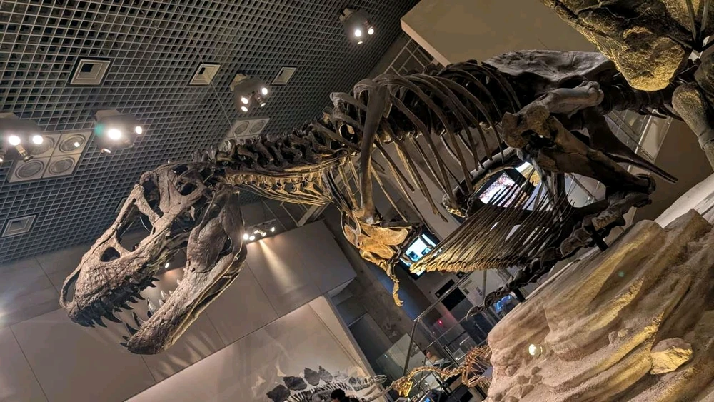 Image uploaded by Ethan