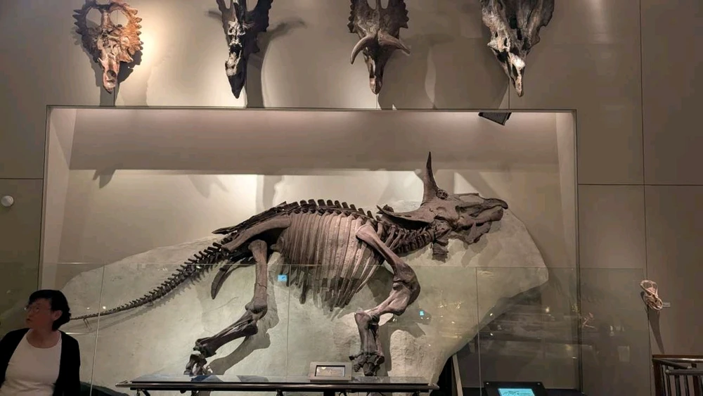 Image uploaded by Ethan