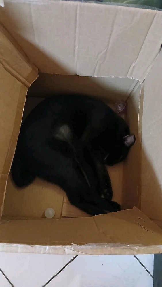 GIF enviado por Paula Kristine