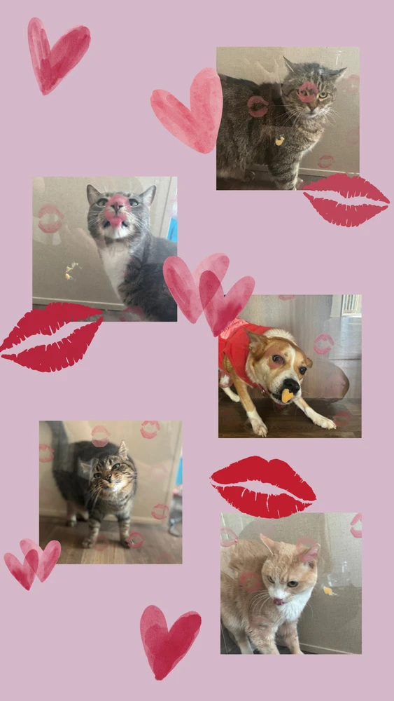 GIF uploaded by Anastasia