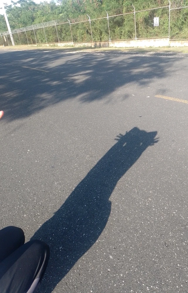 GIF subido por Camil