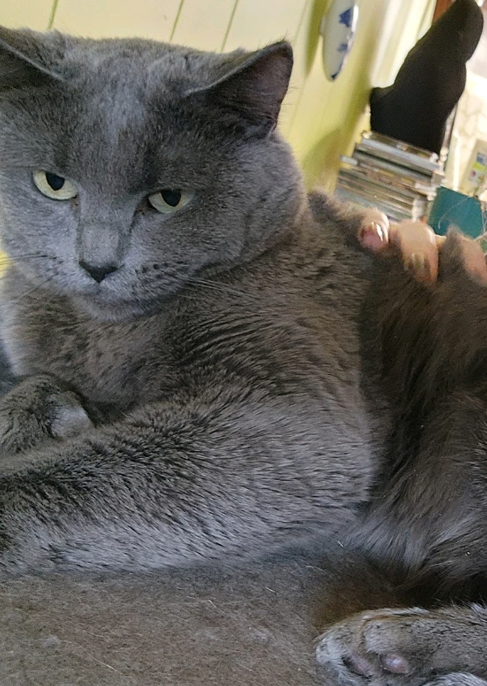 Image uploaded by Dale