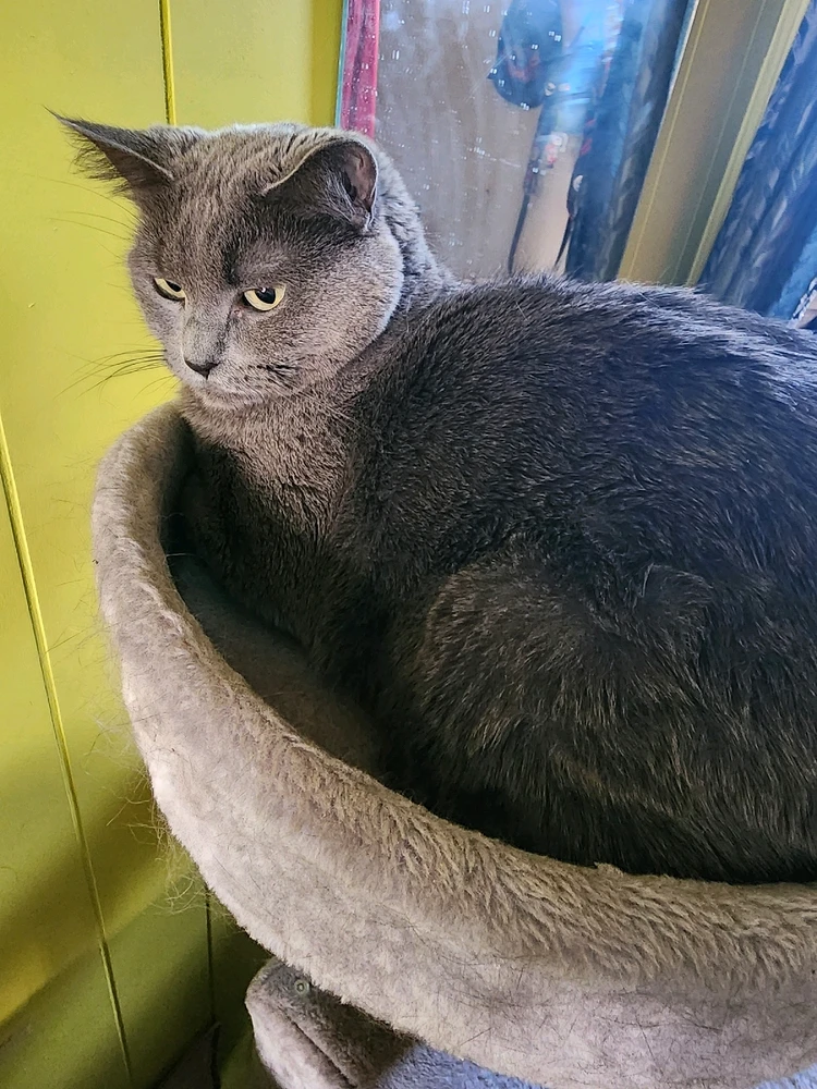 Image uploaded by Dale