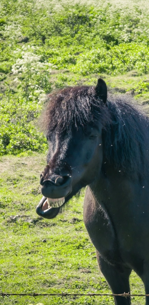 Image uploaded by Piotr