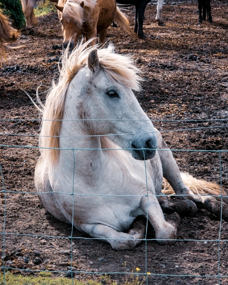 Image uploaded by Piotr