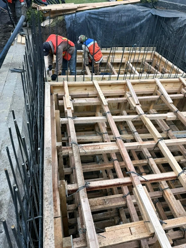 GIF subido por Carlos Arango