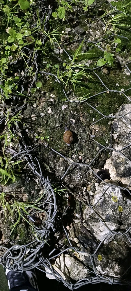 GIF enviado por Vítor Martins