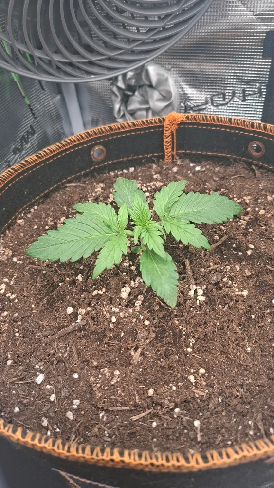 Bild hochgeladen von Oliver