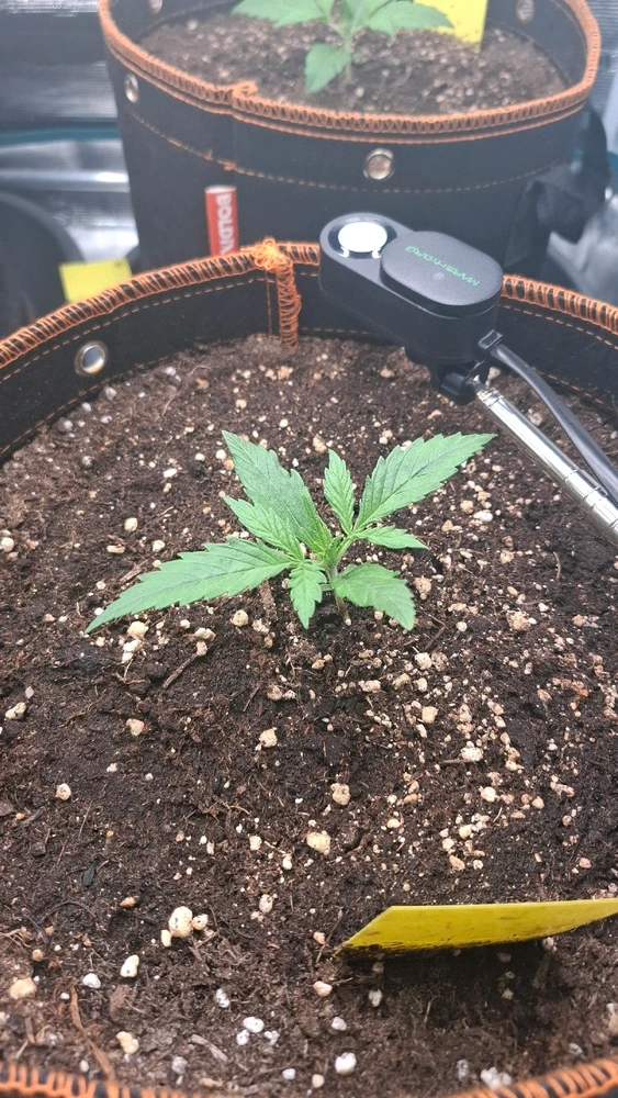 Bild hochgeladen von Oliver