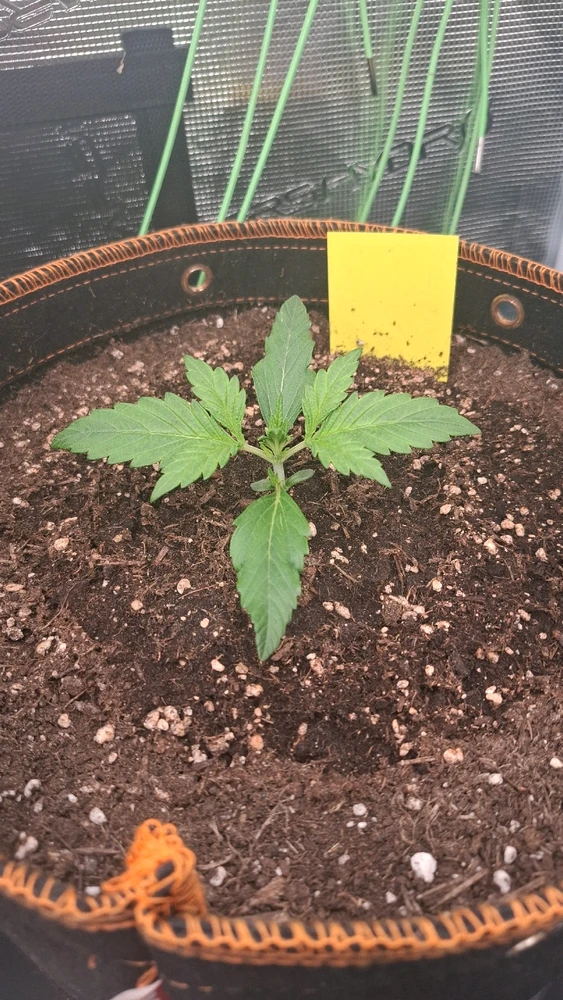 Bild hochgeladen von Oliver