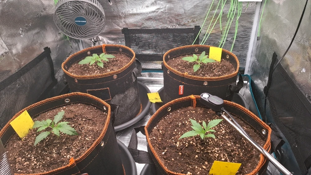 Bild hochgeladen von Oliver