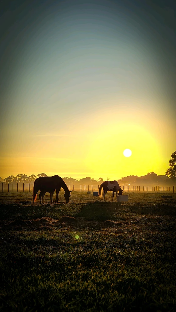 GIF enviado por Frank