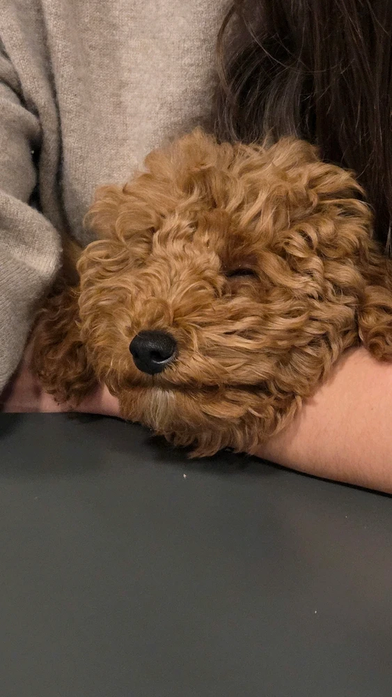 GIF uploaded by Syrine