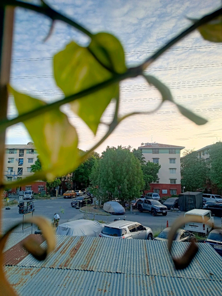 GIF uploaded by Camz