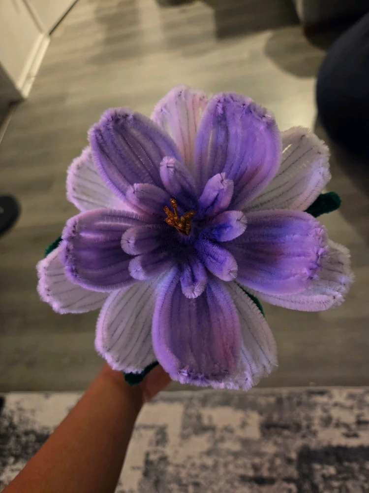 Image uploaded by Tina