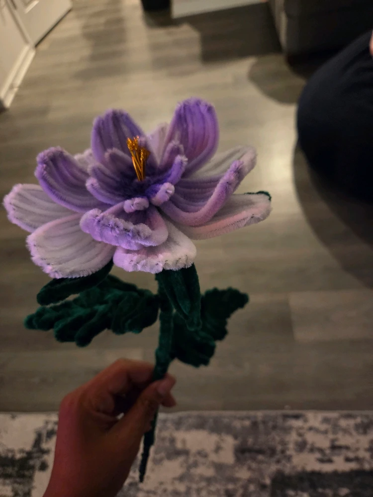 Image uploaded by Tina