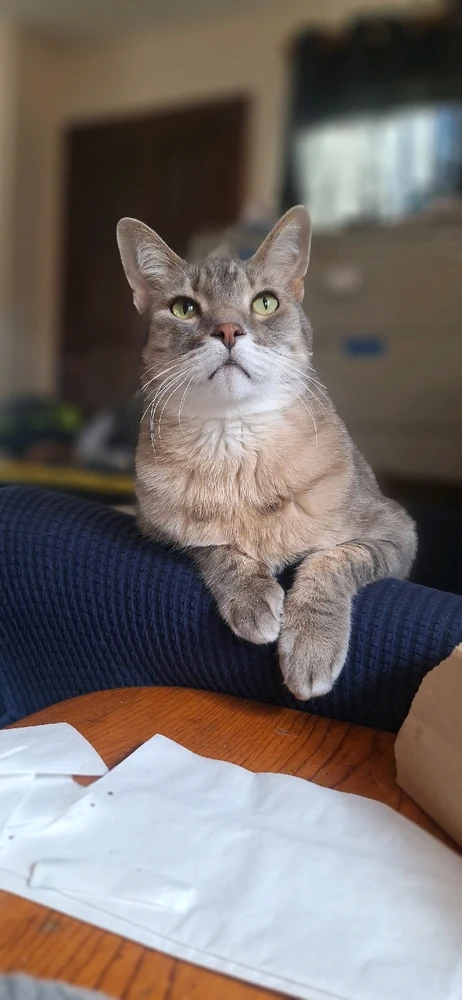 Image uploaded by Collin