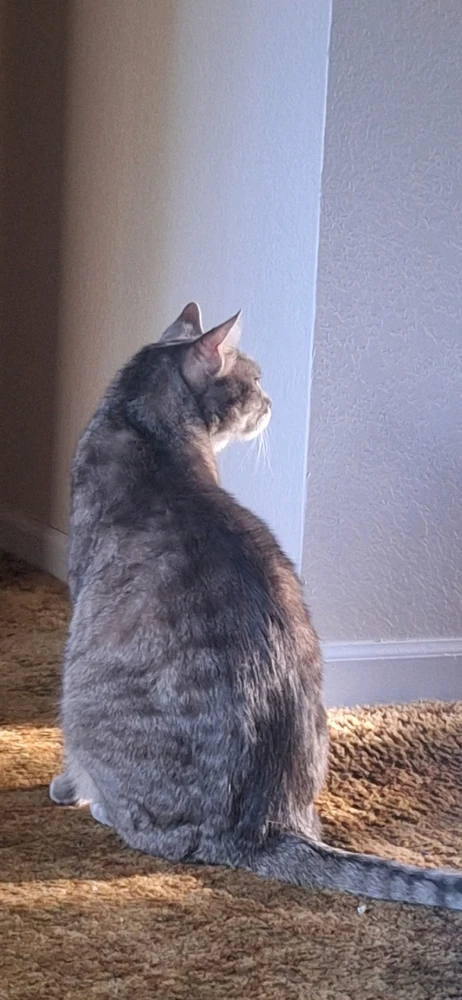 Image uploaded by Collin